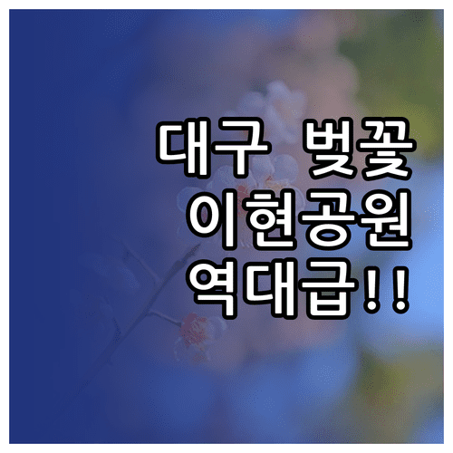 대구 서구 벚꽃 명소 추천 이현공원 그린웨이 방문 정보