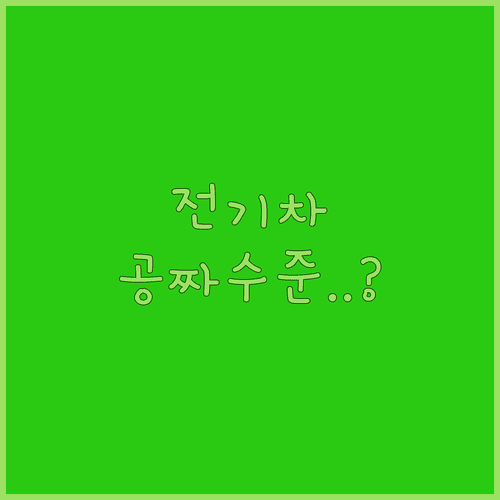 만 19세에서 34세 경기도 청년 전용 전기차 구매 지원 사업