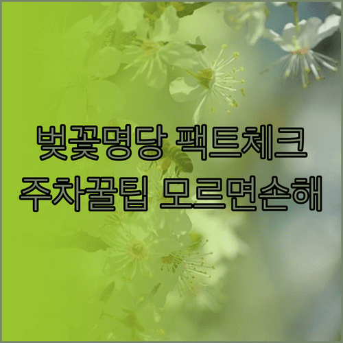 마장호수와 오산리 기도원 벚꽃 정보 및 주차 이용 방법