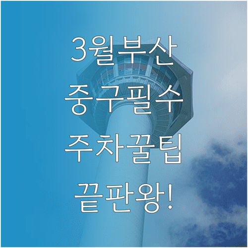 부산 중구 3월 여행 추천 코스 명소 안내와 주차 팁