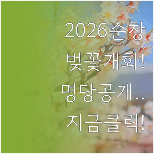2026 순창 벚꽃 개화 일정과 추천 방문 시간대