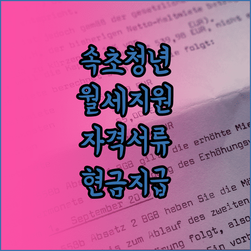 속초시 거주 청년 월세 지원금 신청 자격 소득 기준과 서류 목록