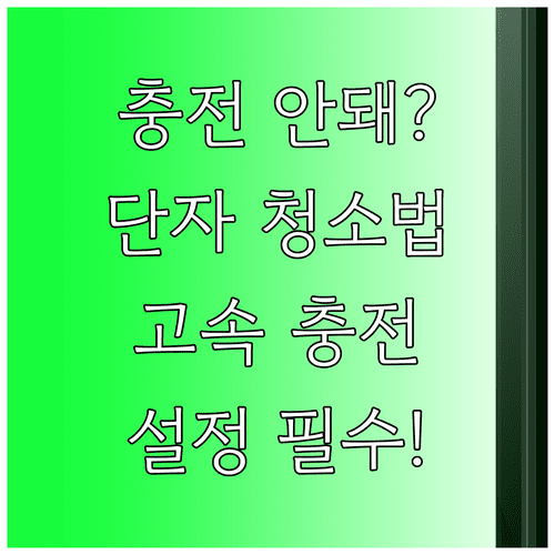 갤럭시 충전 단자 먼지 청소 방법과 고속 충전 활성화 설정