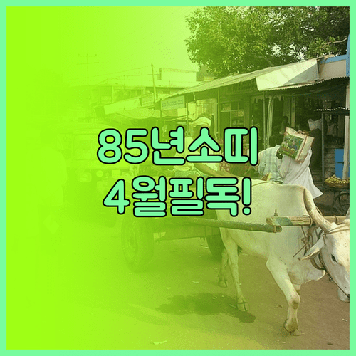 2026년 4월 85년생 소띠 운세 | 행운의 날짜와 효과적인 건강 관리