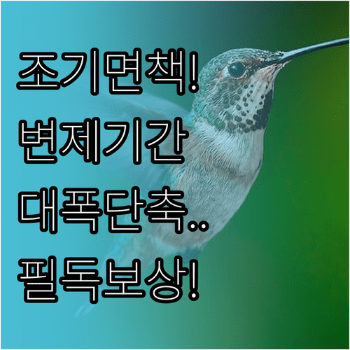 개인회생 조기 면책 조건과 성실 변제자 기간 단축 기준