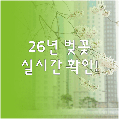 2026년 제주시 벚꽃 축제 일정과 실시간 개화 현황 확인