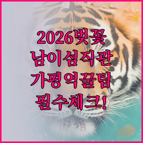 2026년 남이섬 벚꽃 만개 시기 및 가평역 열차 이용 방법