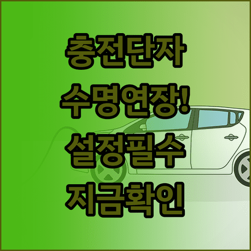 스마트폰 충전 단자 관리법과 배터리 충전 설정 변경