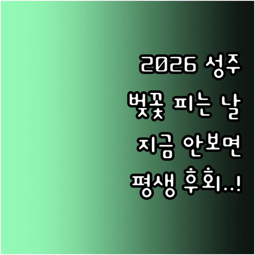 2026년 성주 벚꽃 피는 시기 및 주요 명소 방문객 정보