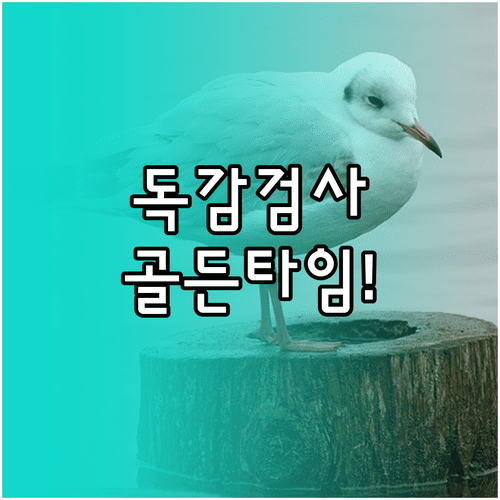 A형 독감 검사 시기 및 위음성 판정 주의사항