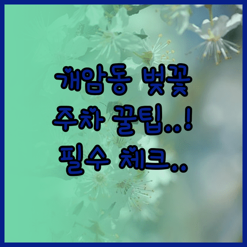 부안 개암동 벚꽃축제 일정과 주차 이용 방법 안내