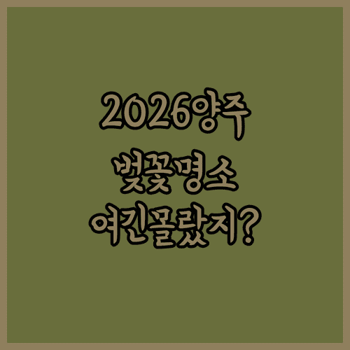 2026 양주 벚꽃 구경하기 좋은 곳과 방문 팁