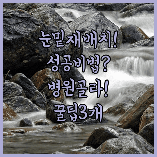 눈밑지방 재배치 성공을 위한 병원 고르는 법