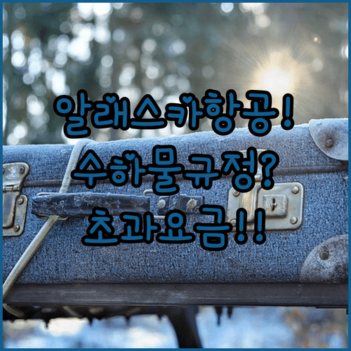 알래스카 항공 수하물 규정 | 무게 초과 추가 요금표