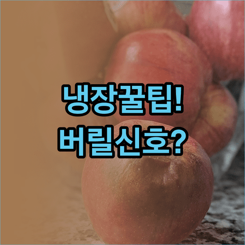 반찬별 냉장 보관 가능 기간과 버려야 할 신호