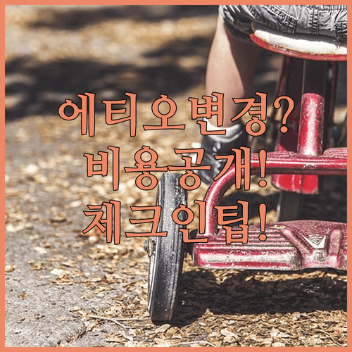 에티오피아항공 좌석 변경 총정리 | 방법 비용 온라인 체크인