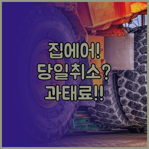 집에어 취소 수수료, 당일 취소도 과태료 발생한다