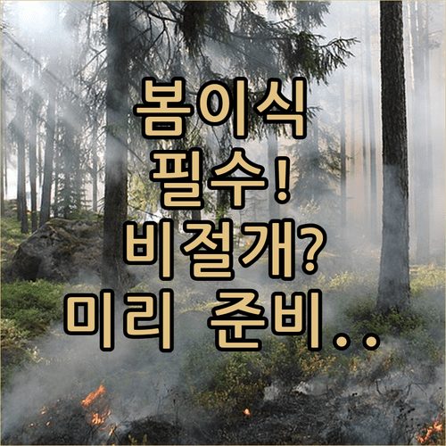 비절개 모발이식 봄에 미리 준비해야 하는 이유