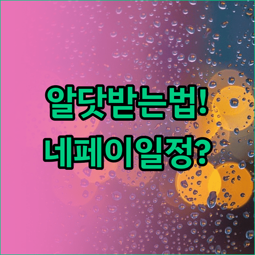 알닷에서 네이버페이 포인트 받는 조건과 지급 일정 총정리