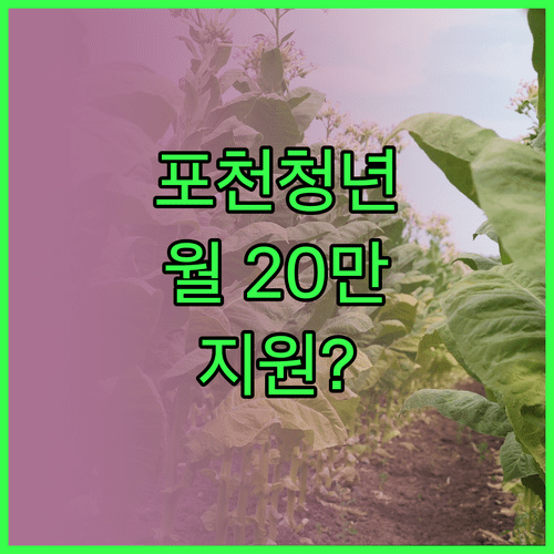 포천시 청년월세 월 최대 20만원 지원 대상 조건