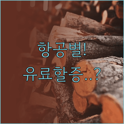 항공사별 도쿄 노선 유류할증료 비교와 예매 전략