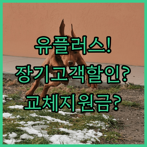유플러스 장기고객 추가 할인 교체 지원금 조회