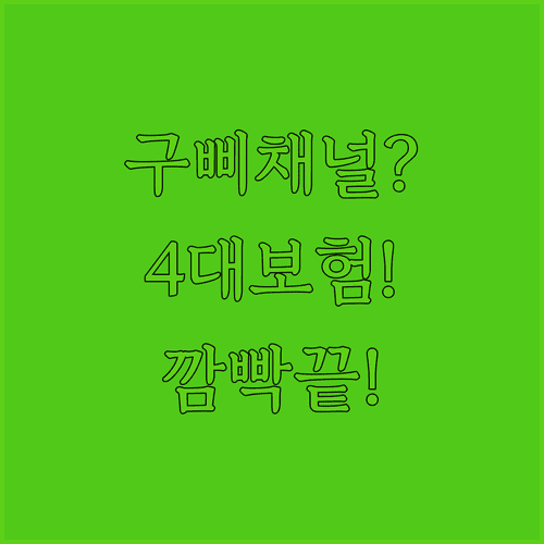 국민비서 구삐 채널 추가로 4대 보험료 깜빡함 없애기