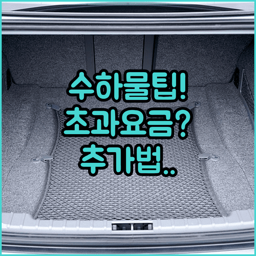 세부퍼시픽 수하물 추가 방법과 초과 요금 비교