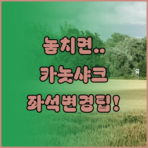 카놋샤크 비행기 좌석 변경 홈페이지와 앱 활용팁