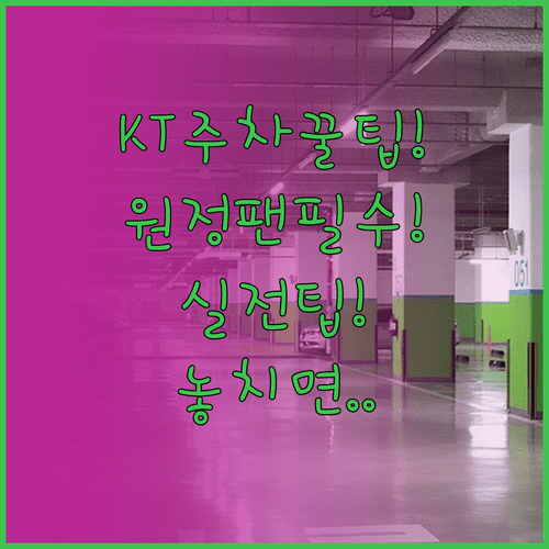 KT위즈파크 주차 이렇게 하세요 | 원정팬도 통하는 실전 팁