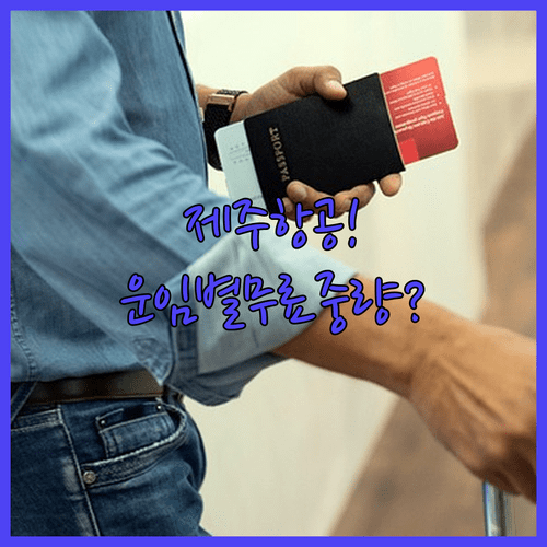 제주항공 수하물 규정, 운임 타입별 무료 중량 확인 방법