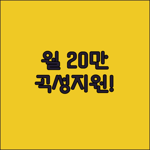 2026 곡성군 청년월세 지원 월 최대 20만원 총정리