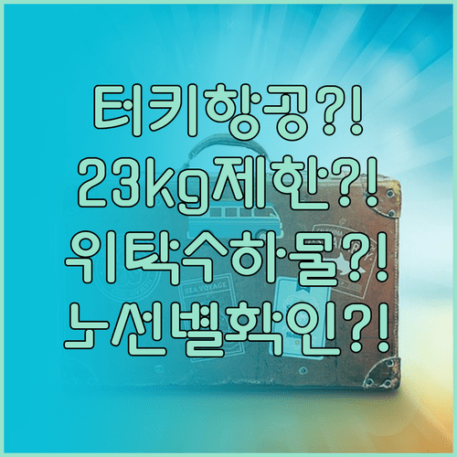 터키항공 위탁수하물 1개 23kg | 노선별 기준 확인 방법