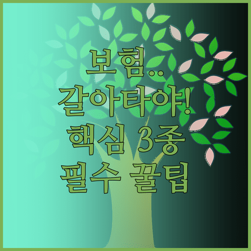 오토바이 보험 갱신과 갈아타기 현명한 선택