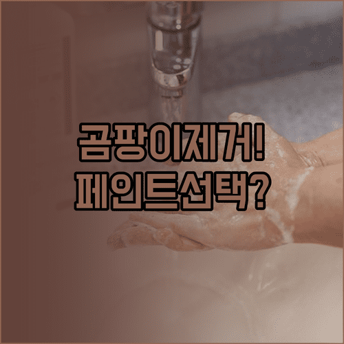 욕실 천장 베란다 곰팡이 제거와 방지 페인트 선택법