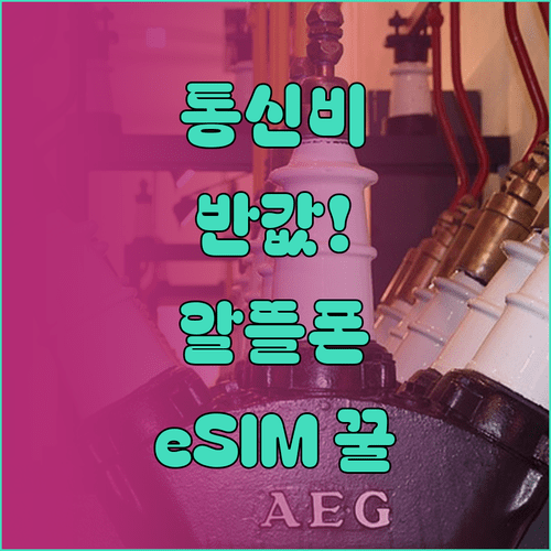 통신비 절반으로 줄이는 알뜰폰 eSIM 개통 팁