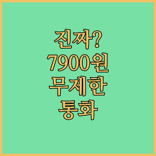 알뜰폰 통화 무제한 요금제 월 7900원부터
