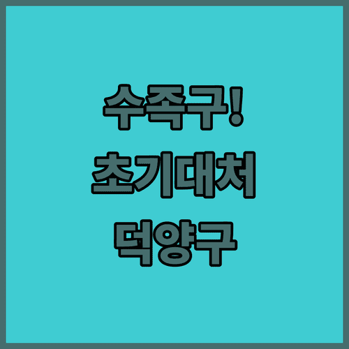 고양 덕양구 소아과 리스트와 수족구 초기 대처법