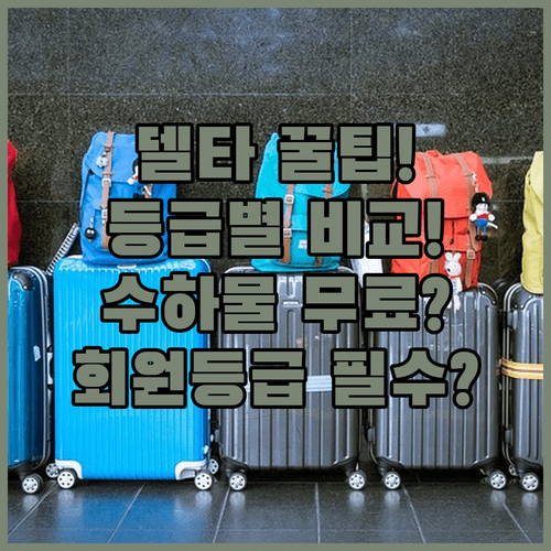 델타항공 스카이마일스 회원 등급별 위탁수하물 무료 혜택 비교