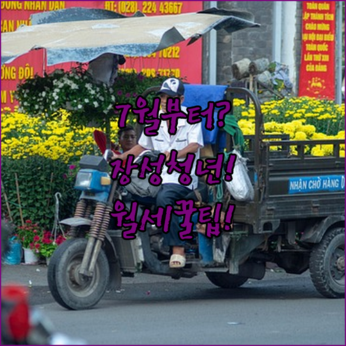 2026 장성군 청년월세 지원금 7월부터 지급 예정