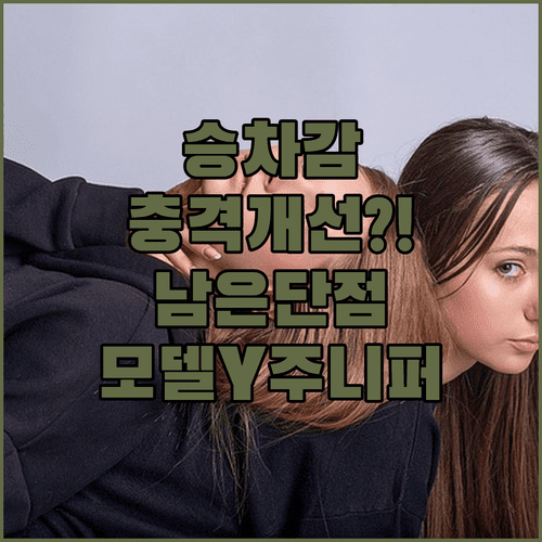 테슬라 모델Y 주니퍼 승차감 개선과 남은 단점 분석