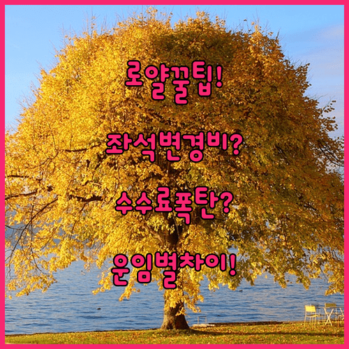 로얄브루나이 좌석 변경 수수료와 운임별 차이