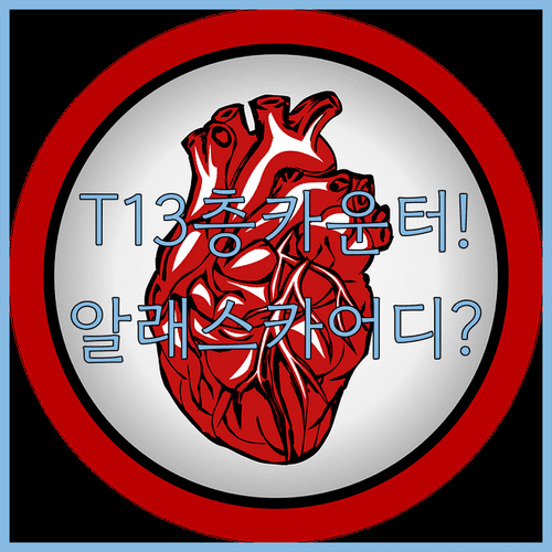 인천공항 알래스카 항공 제1터미널 3층 체크인 카운터 위치