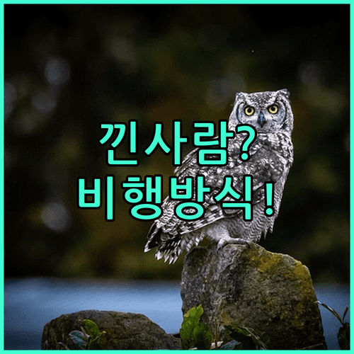하늘 나는 꿈 상황별 의미 | 함께 낀 사람과 비행 방식이 중요