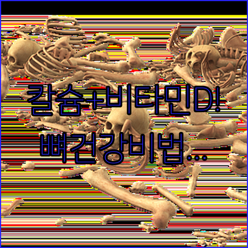 뼈 건강을 위한 칼슘 비타민D 함께 먹기 실천 가이드