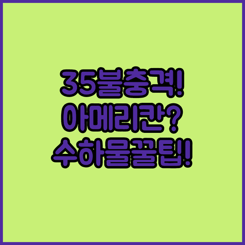 아메리칸항공 국내선 수하물 요금 35달러부터