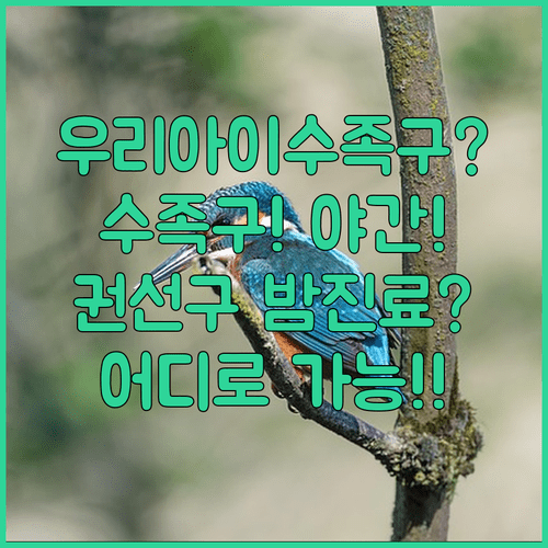 아이 수족구 걸리면 권선구 어디로 야간 진료 가능