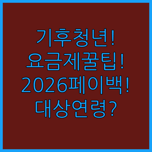 기후동행카드 청년 요금제 2026 | 대상 연령부터 페이백까지 한 번에 정리