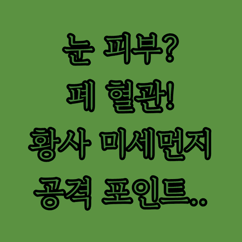 눈 피부 vs 폐 혈관 황사와 미세먼지 건강 공격 포인트