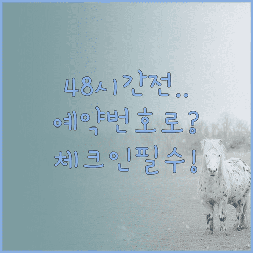 캐세이퍼시픽 온라인 체크인 | 48시간 전부터 예약번호로 가능